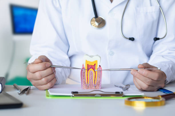Best Emergency Broken Tooth Repair in South Roxana, IL